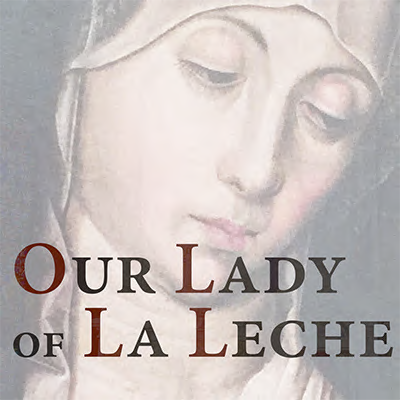 Web-wildcard Our Lady of La Leche Shrine at The Miraculous Medal Shrine