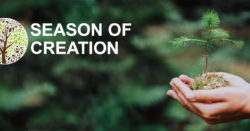 Season of Creation